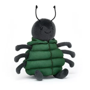 Anoraknid Spider